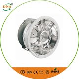 Induction ceiling light-CL04