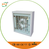 Induction ceiling light-CL13
