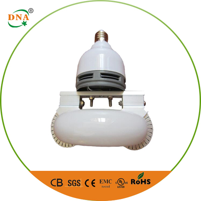 Compact induction lamp