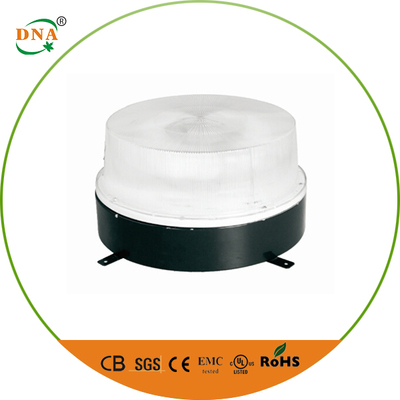 Induction ceiling light-CL01