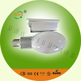 Induction lamp E40 olive