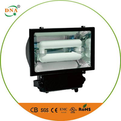 Induction flood light-SF05
