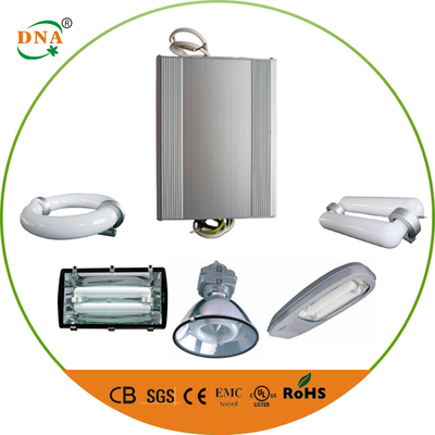 Induction lamp ballast-LV