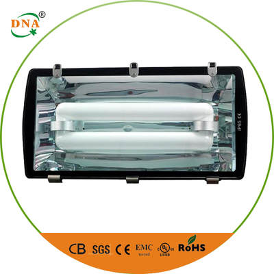 Induction flood light-SF01