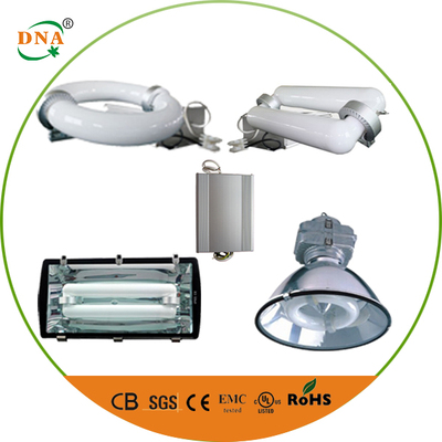 Induction lamp